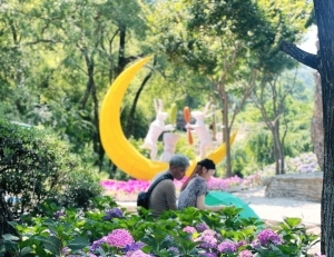 기사이미지